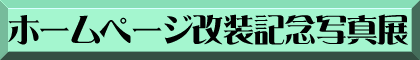 ホームページ改装記念写真展